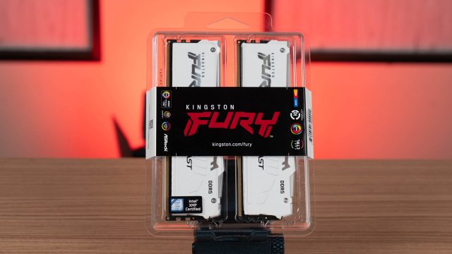 Kingston Fury Beast D5 01